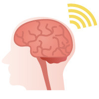 脳と電波